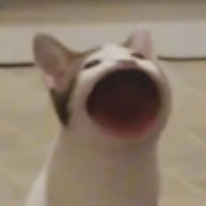 Meet your Posher, Helen